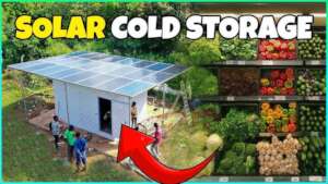 Reduce Food Waste with 50 Solar Cold Storage Units