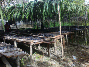 Greenhouse with all the material