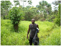 Gilberto Murillo - Farmer and beneficiary