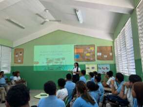 Talk to young people in school.