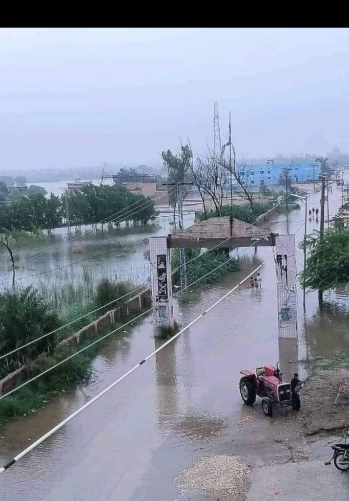 Rapid Response: Lifesaving Aid for Pakistan Flood
