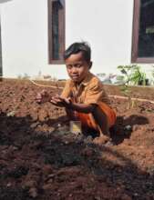 Taking care of the earth - planting