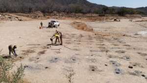 Preparing the terrain for planting