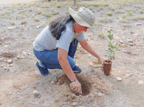 Happy planting day