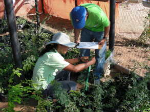 Selecting plants in nurseries