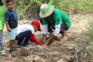 Children participate in planting