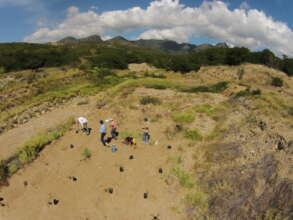 Planting site drone view