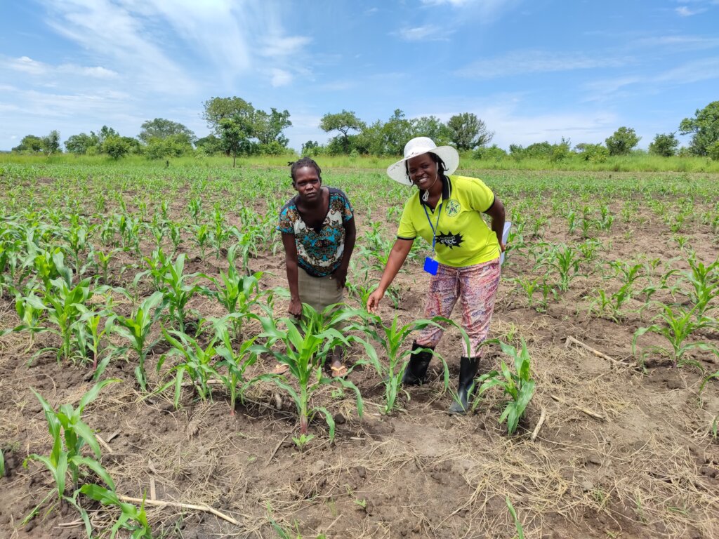 Empower Gulu Farmers with Omel Farm Hub in Uganda