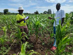 Empower Gulu farmers with Omel Farm Hub in Uganda