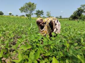 Empower Gulu Farmers with Omel Farm Hub in Uganda