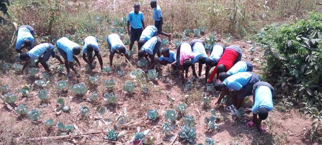 Children farming