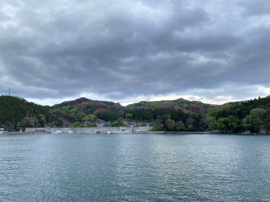 From Ashes to Forest:  Plant 10,000 Trees in Japan