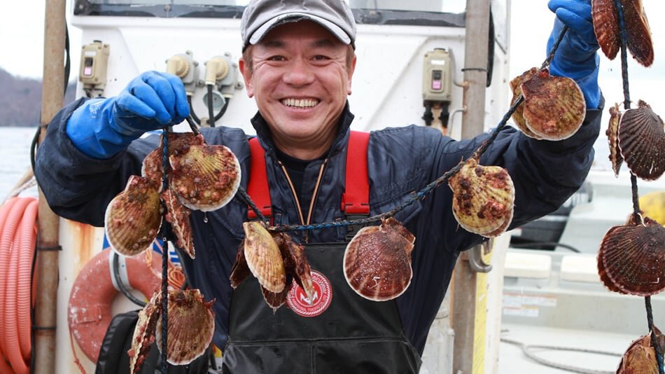 From Ashes to Forest:  Plant 10,000 Trees in Japan
