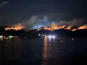 Burning Forests of Ofunato