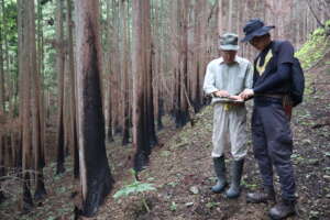 Inspection of the Burnt Area