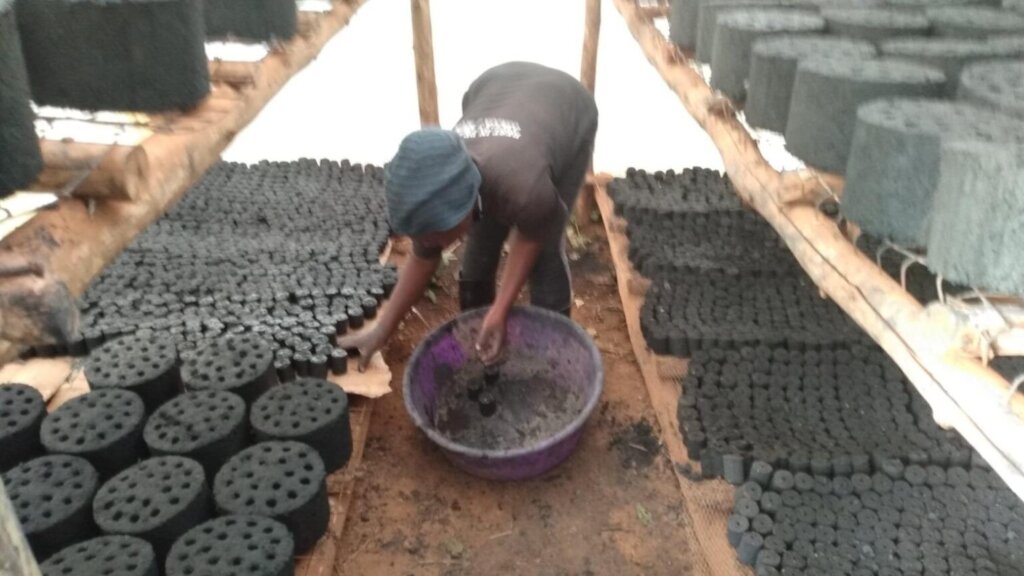 Rweenzori  Green Guides Briquette for conservation