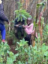 Kitchen gardens provide fresh food for families