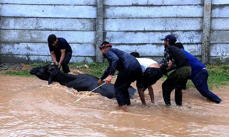 Emergency appeal-Floods Pakistan