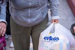 Achaia Wildfire Fund | Photo No2