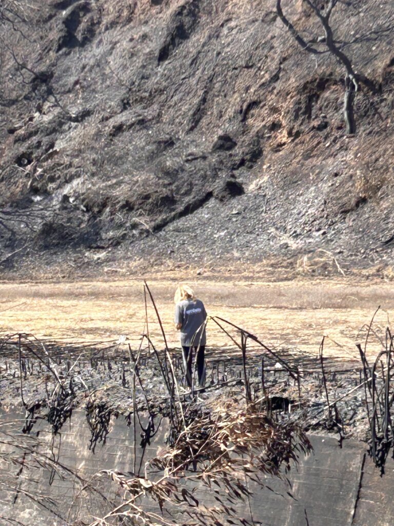 Achaia Wildfire Relief Fund