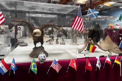 FIFA World Cup 2026 Display