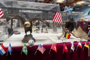 FIFA World Cup 2026 Display