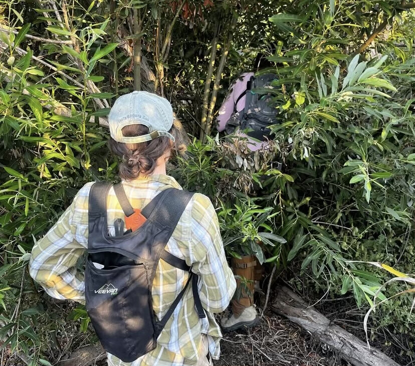WFVZ Staff measuring plants around completed nests