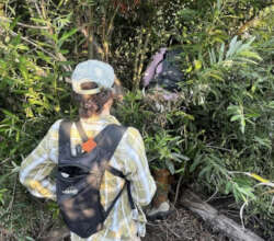 WFVZ Staff measuring plants around completed nests