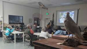 Sammy Cowell teaches WFVZ Bird ID class