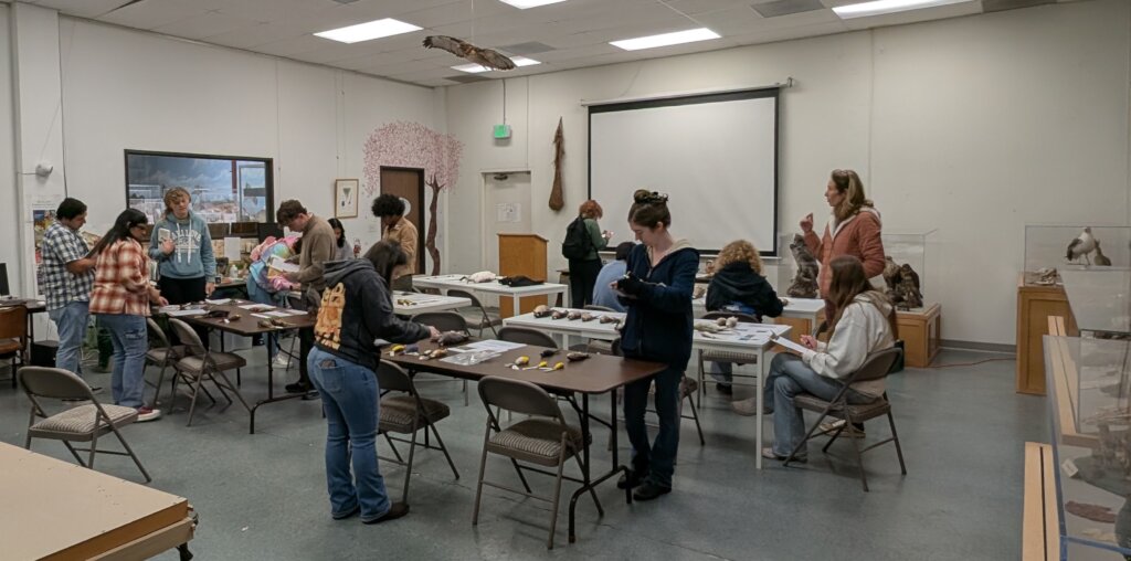 CSUCI Ornithology class led by Dr Allison Alvarado