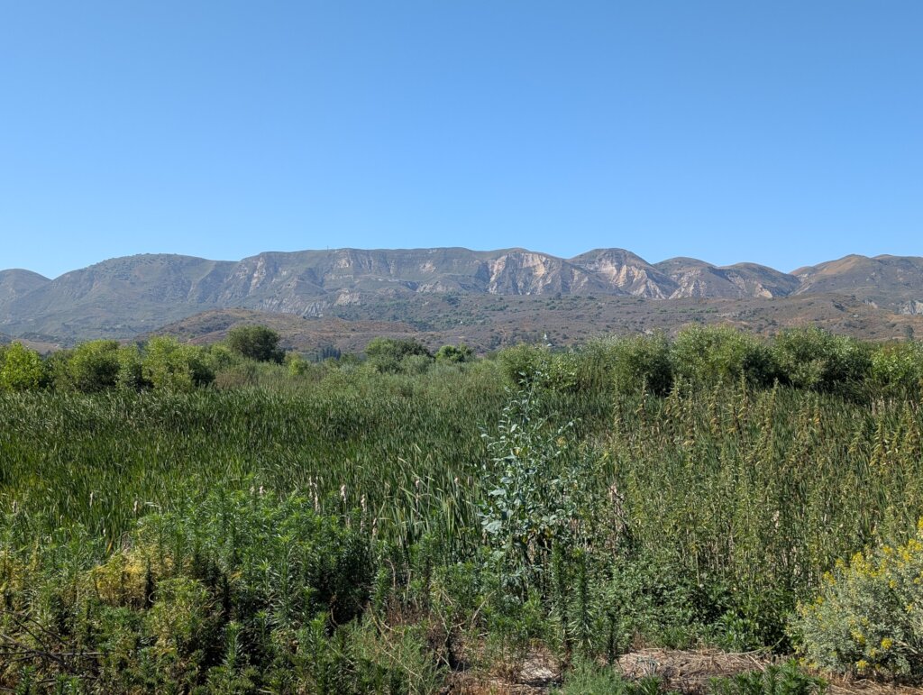 Our recovering study area on the Santa Clara River