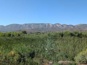 Our recovering study area on the Santa Clara River
