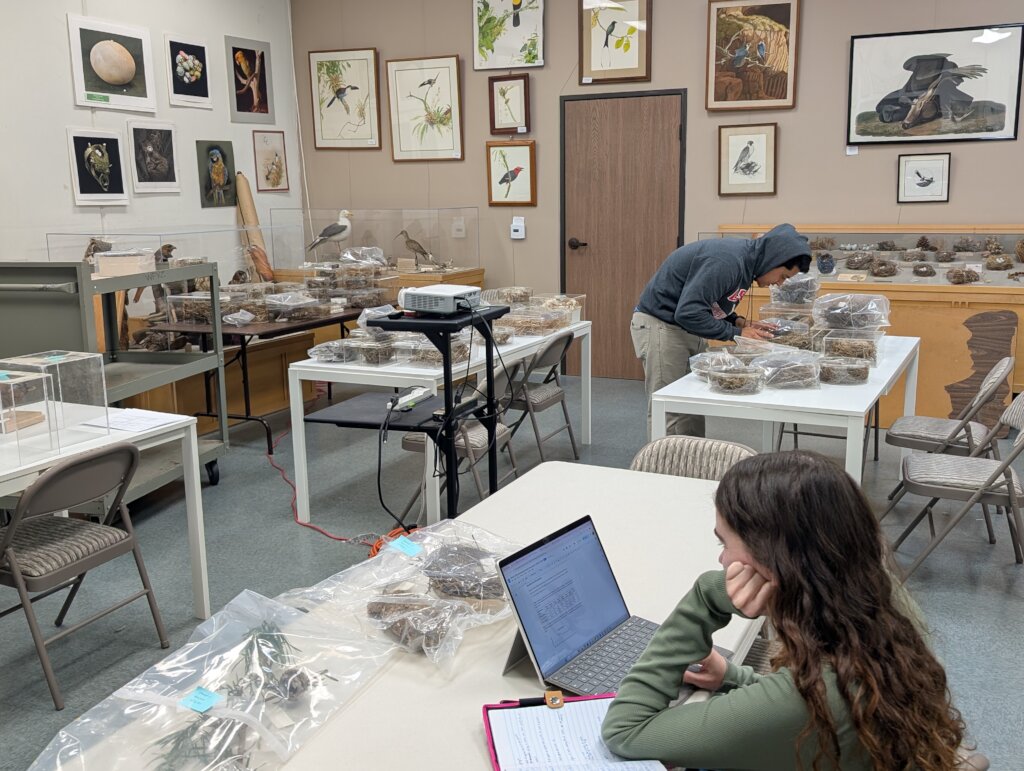 2025 Collection Assistants recording specimens