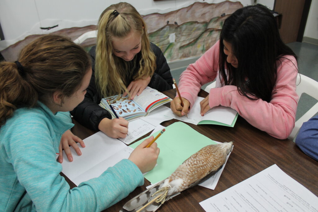 Expanding Access and Learning at the Bird Museum!