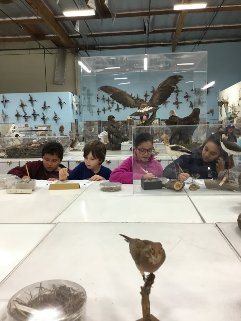 Hard at Work Studying Birds