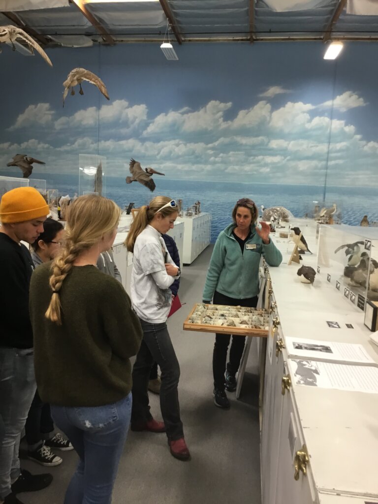 Expanding Access and Learning at the Bird Museum!