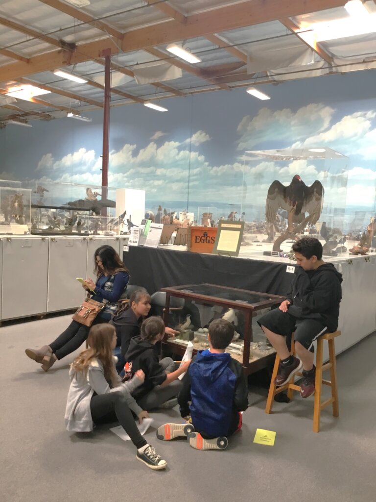 Expanding Access and Learning at the Bird Museum!