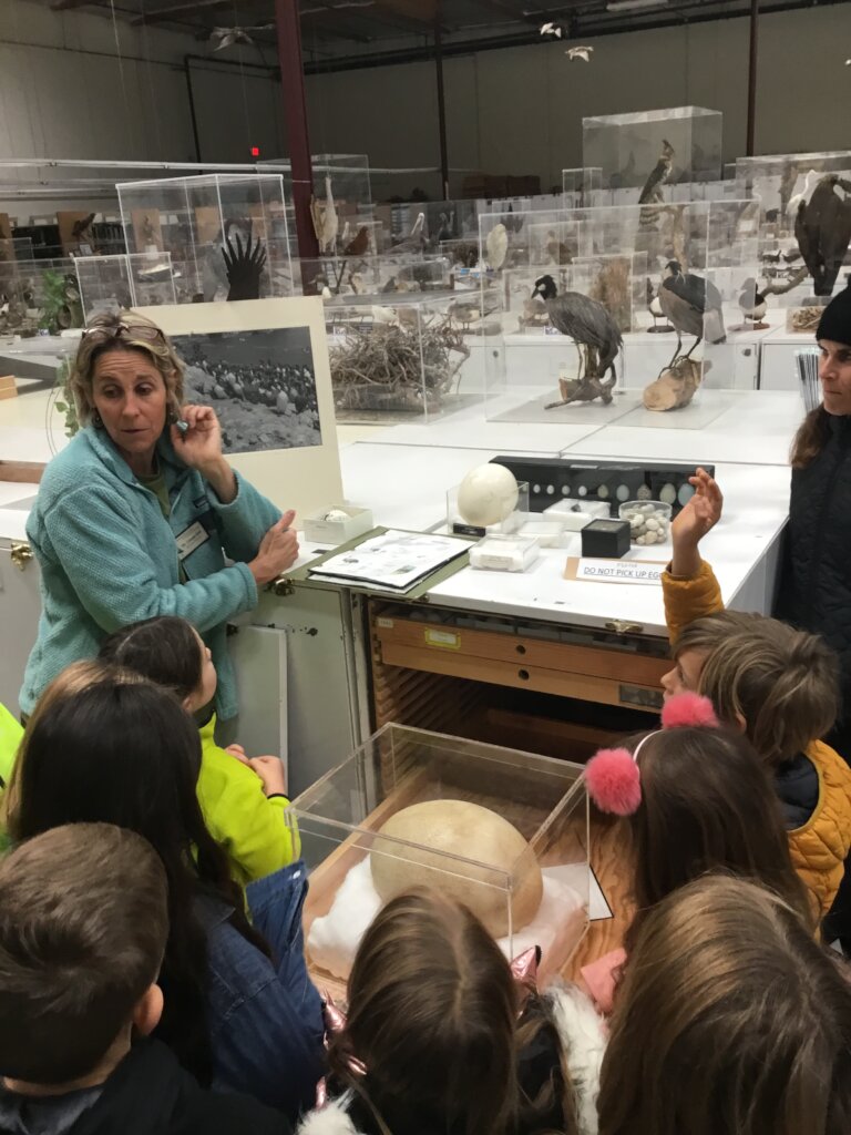 Expanding Access and Learning at the Bird Museum!