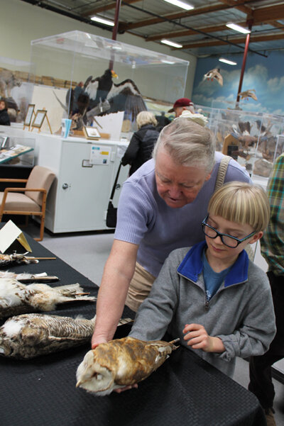 Expanding Access and Learning at the Bird Museum!