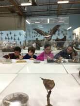 Hard at Work Studying Birds