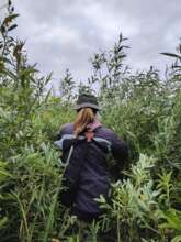In the Field