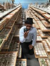 Our Collections Manager