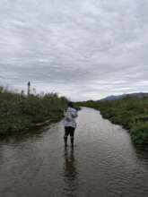 In the River
