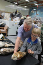 Hands on at the Bird Museum