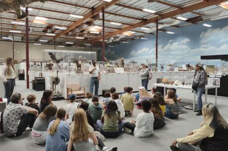 Expanding Access and Learning at the Bird Museum!