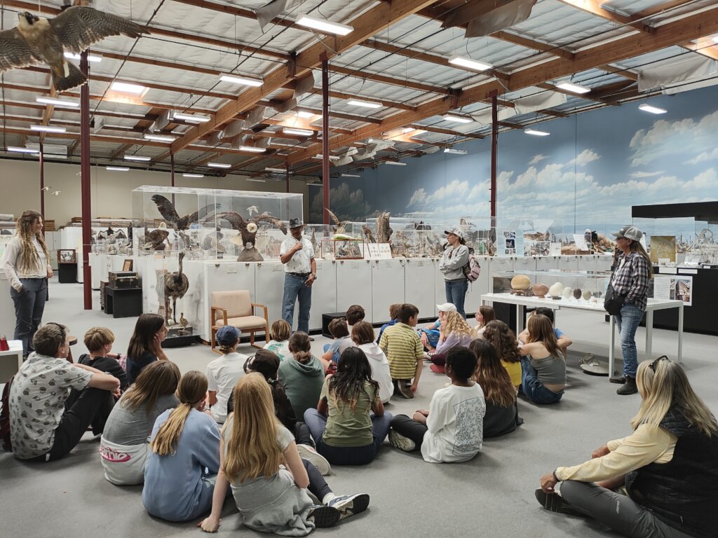 Expanding Access and Learning at the Bird Museum!