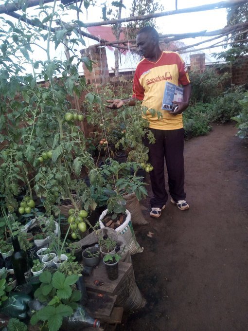Empowering Rural Women Through Vegetable Farming
