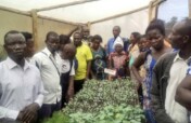 Empowering Rural Women Through Vegetable Farming