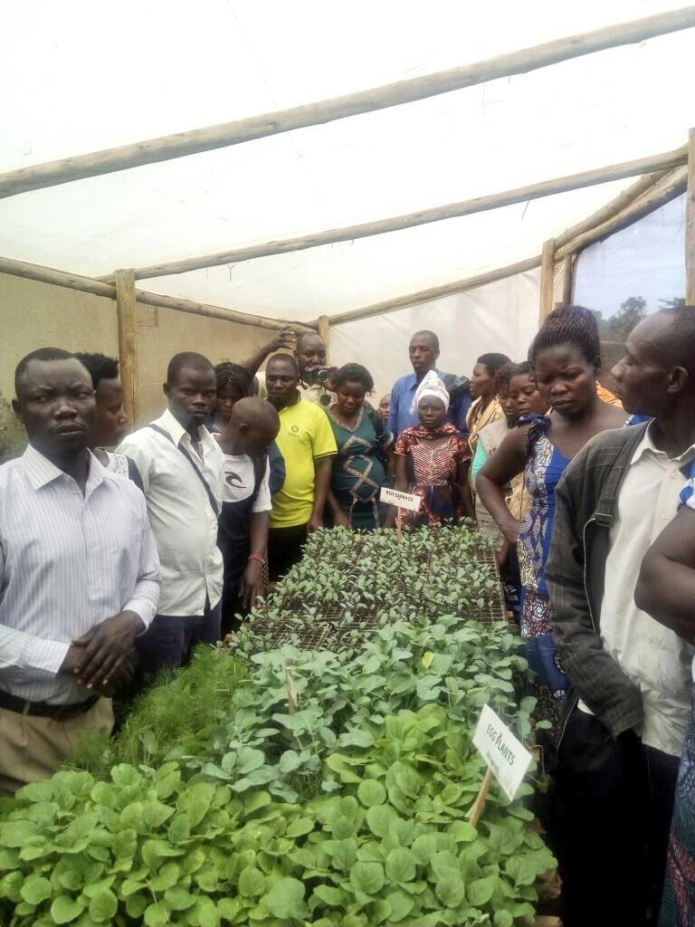 Empowering Rural Women Through Vegetable Farming - GlobalGiving