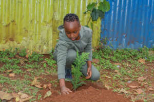 Tree planting October 2025